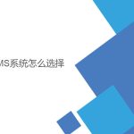 wms系統怎么選擇？